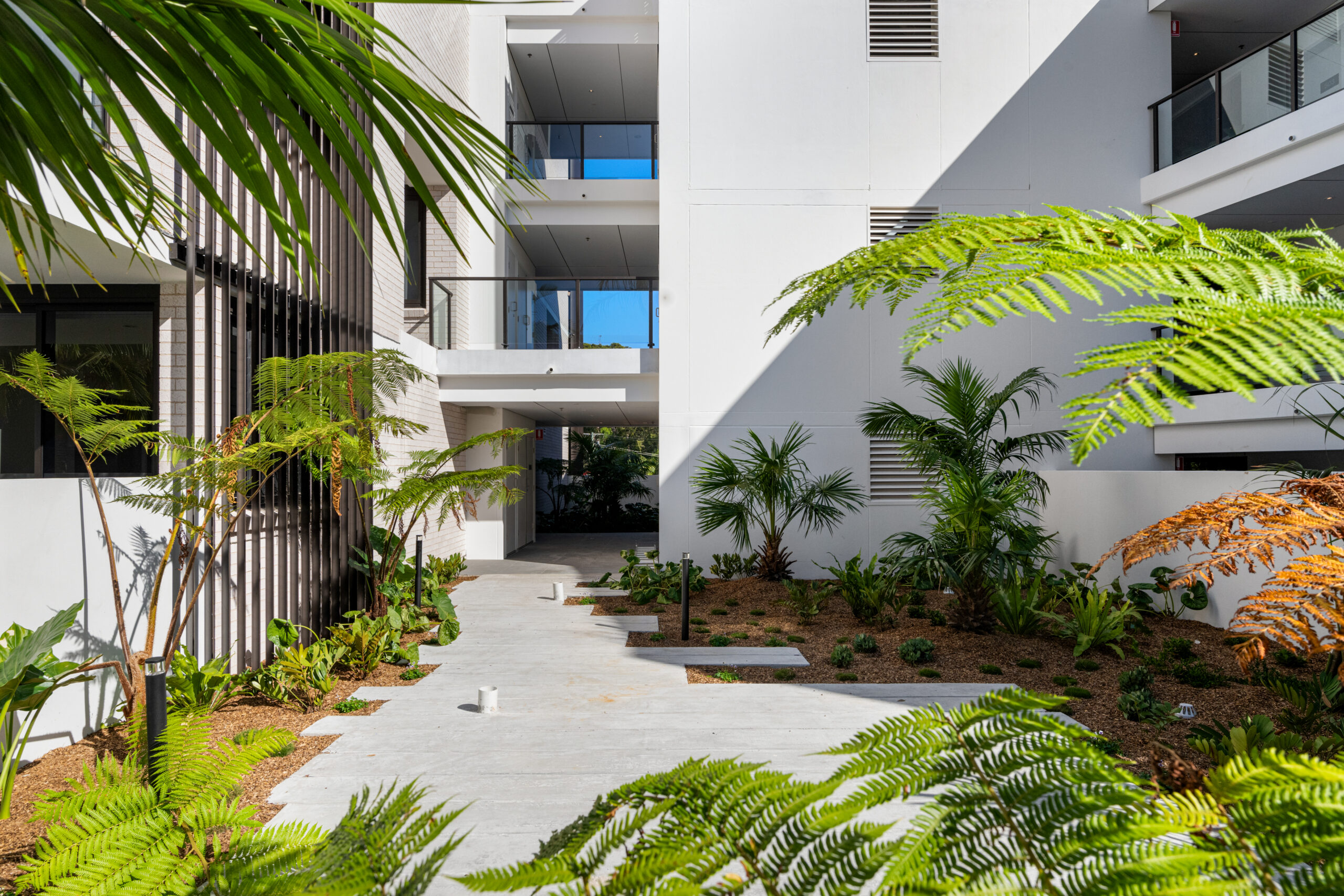 avoca_075